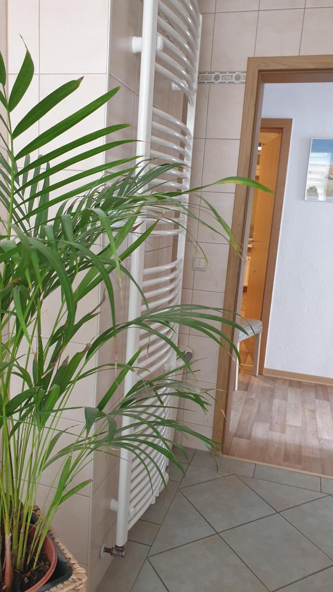 Ferienwohnung Sonnenschein Familie Hamdorf Bad Sulza Exterior foto